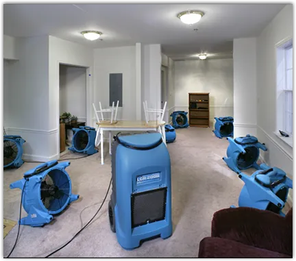 Water Damage Assessment in Hammonton, NJ