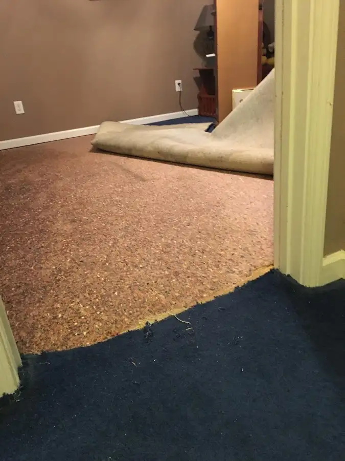 Carpet pad removal revealing water damage during Water Mitigation Services in Hammonton